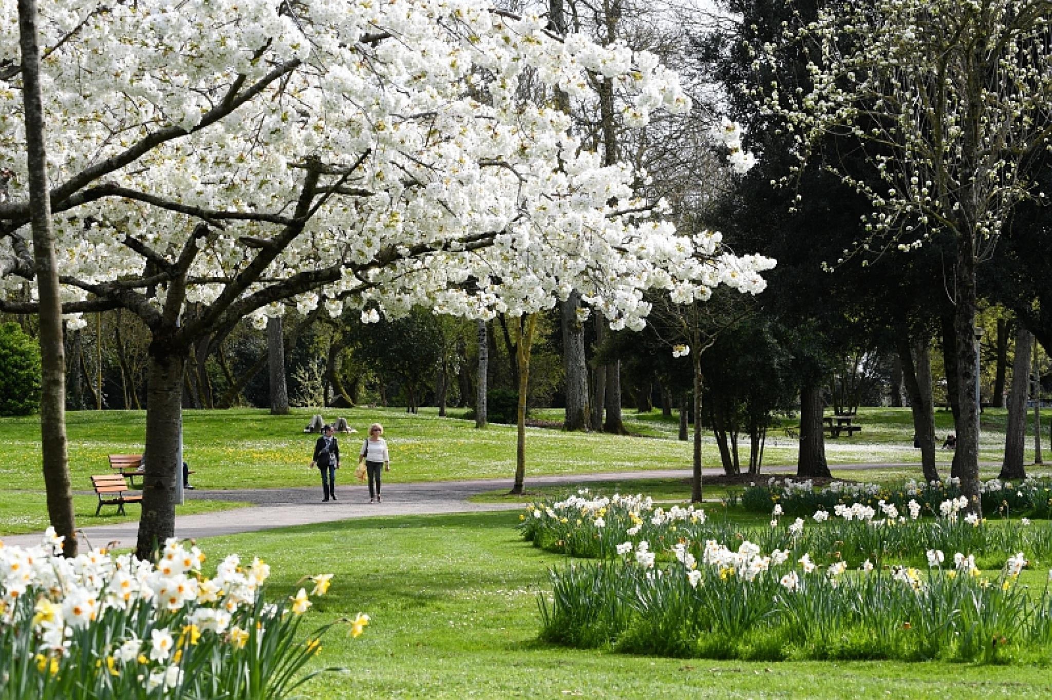 Le Parc Charruyer à La Rochelle au printemps